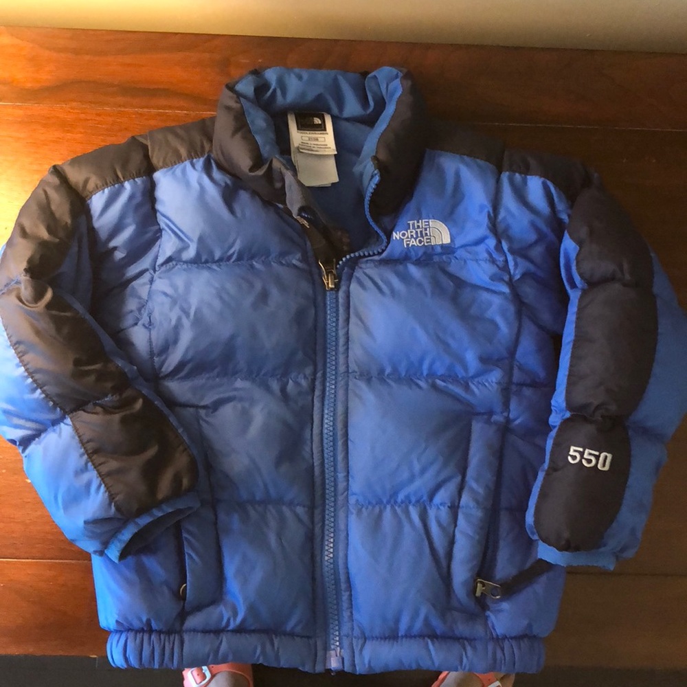 The North Face 550 Goose Down Jacket